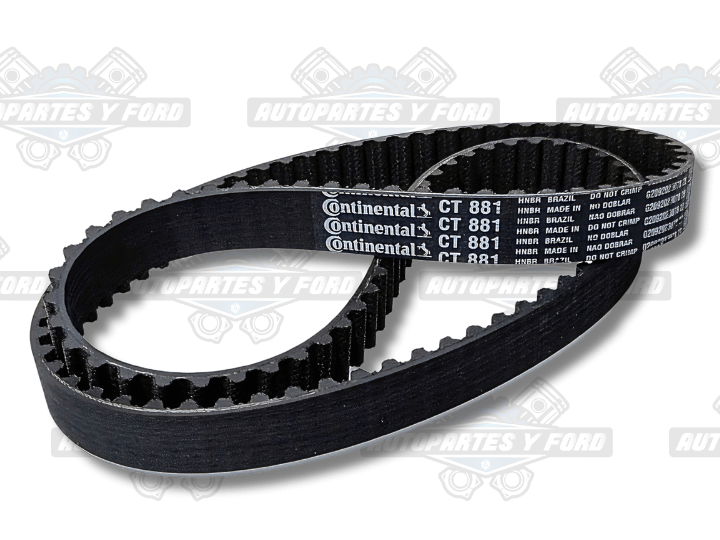 Correa Distribución Ford Fiesta 96MM6K288BA