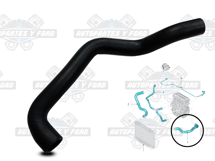 Manguera Superior Radiador Ford Fiesta 2011/2019